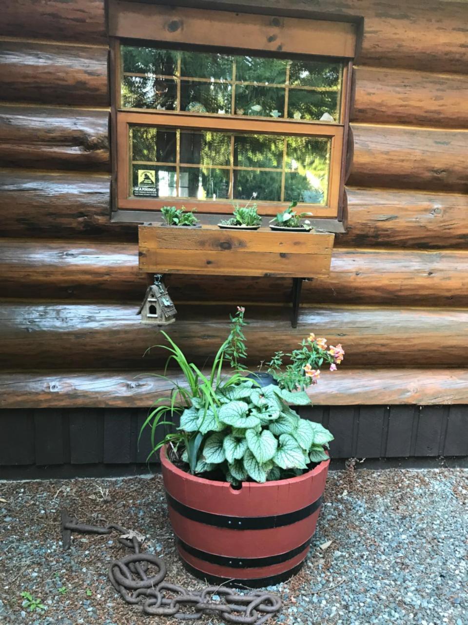 Union Bay Log Home Buitenkant foto